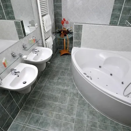 Plaza Hotel 4*